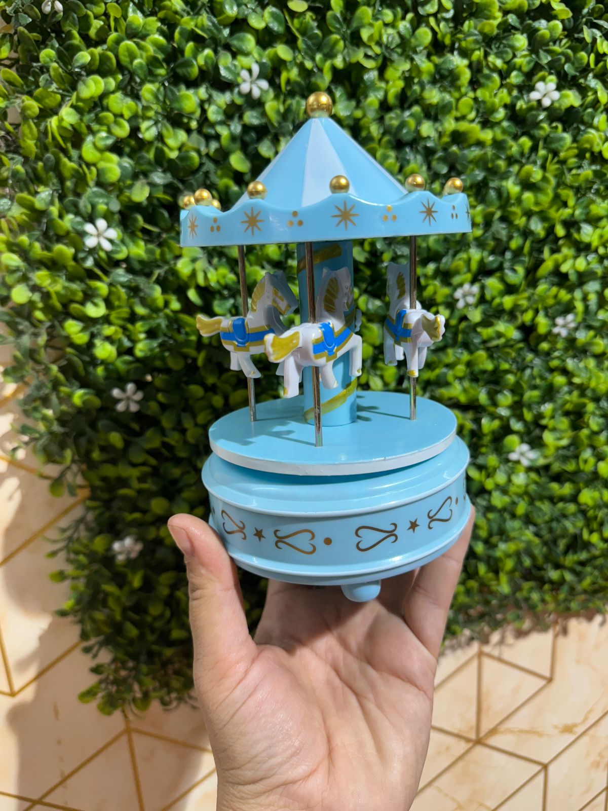 Carousel Toy with Music